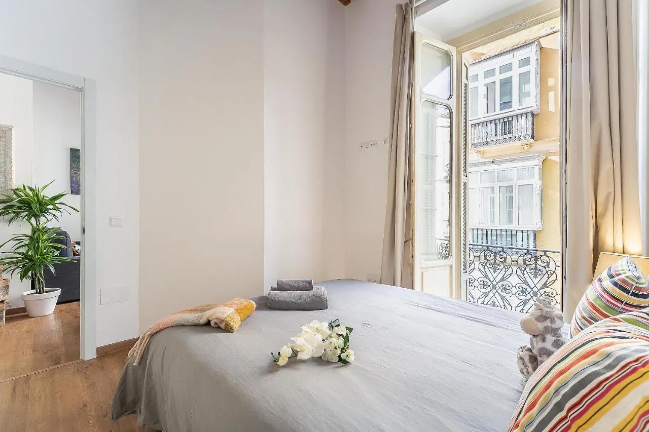 Deluxe Larios Malaga Center Apartment Spanje