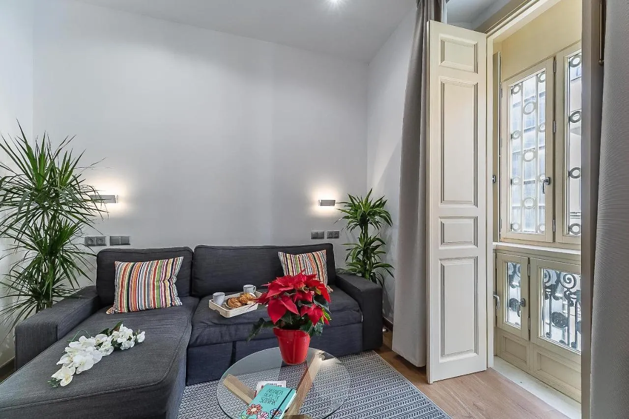 Deluxe Larios Malaga Center Apartment